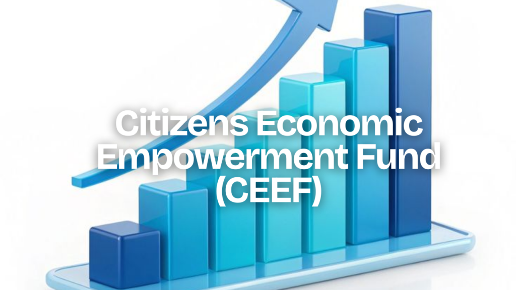 CEEC 2026 Empowerment Fund Application in Zambia | Citizens Economic Empowerment Fund Loans for SMEs, Youth and Women Citizens Economic Empowerment Fund (CEEF)